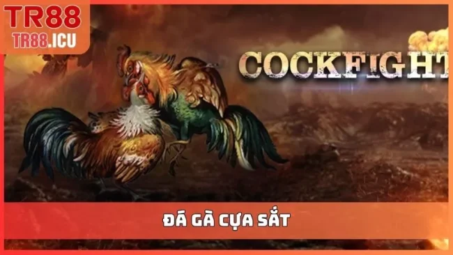 đá gà cựa sắt