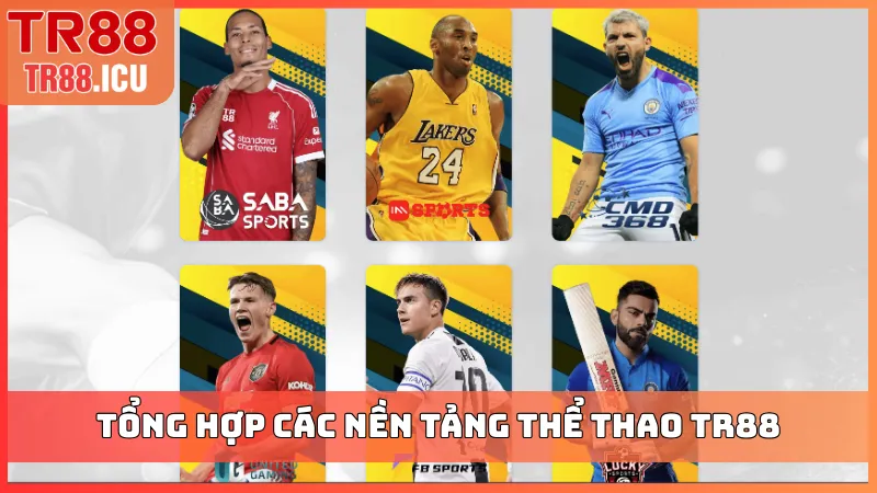 Tổng hợp các nền tảng thể thao TR88 xanh chín